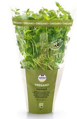 Urte 9cm Oregano Gartner