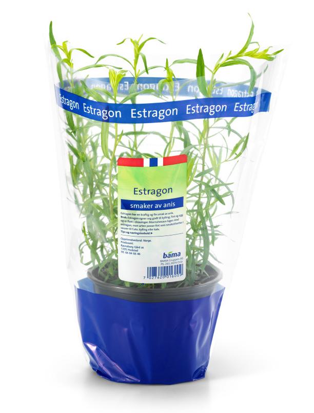 Urte Estragon 750g
