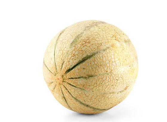 Melon Cantaloupe