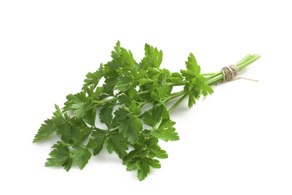 Bladpersille Gourmet Frisk i Pose, Etiopia, 20 g