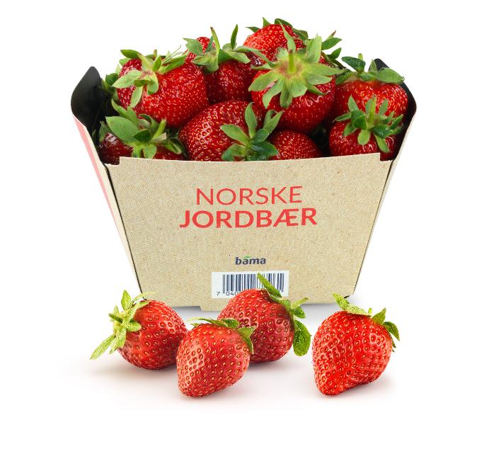 Jordbær Norsk kurv 500g