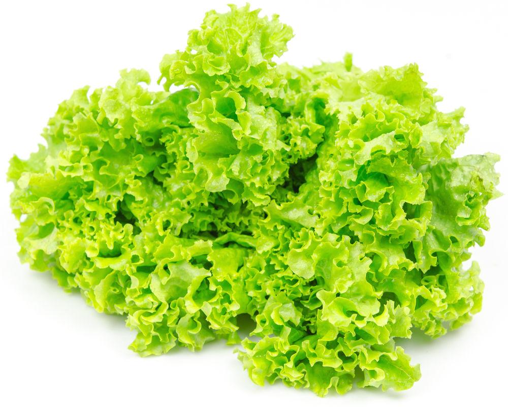 Crispisalat Beger, Spania/ Italia, 150 g