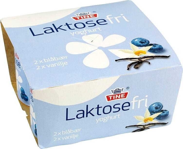 Tine Yoghurt Blåbær og Vanilje, Laktosefri 4x125 g