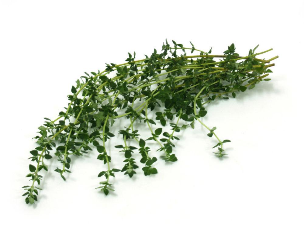 Timian Gourmet Frisk i Pose, Etiopia, 20 g