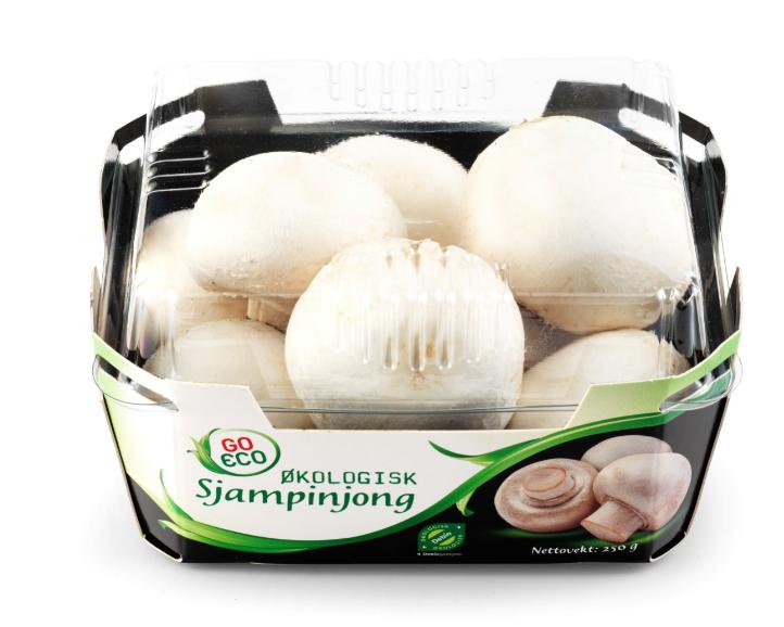 Champignon 250g Go Eco