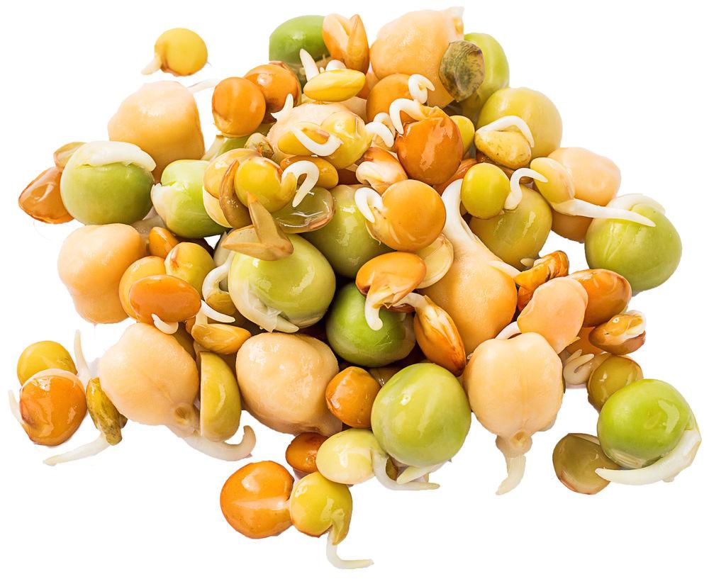 Spiresnacks, Mix av Bønner, Erter & Linser Norge, 100 g