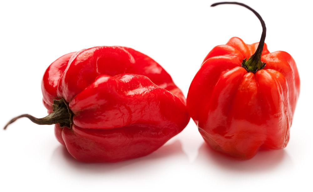 Habanero Rød Holland, 50 g