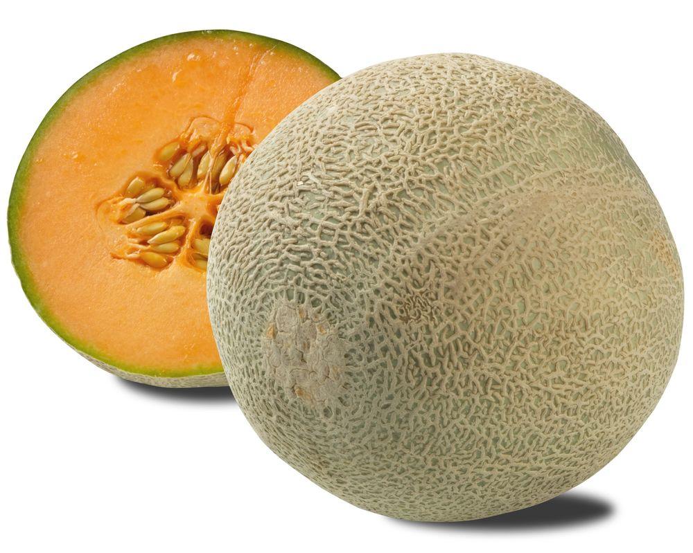 Melon Cantaloupe Brasil, 1 stk