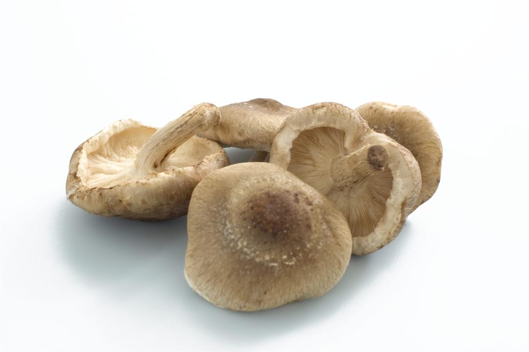 Shi-Take 100g Økologisk