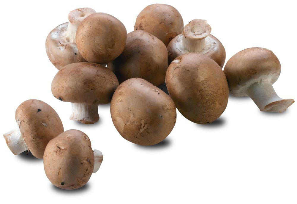 Aromasopp Polen, 250 g