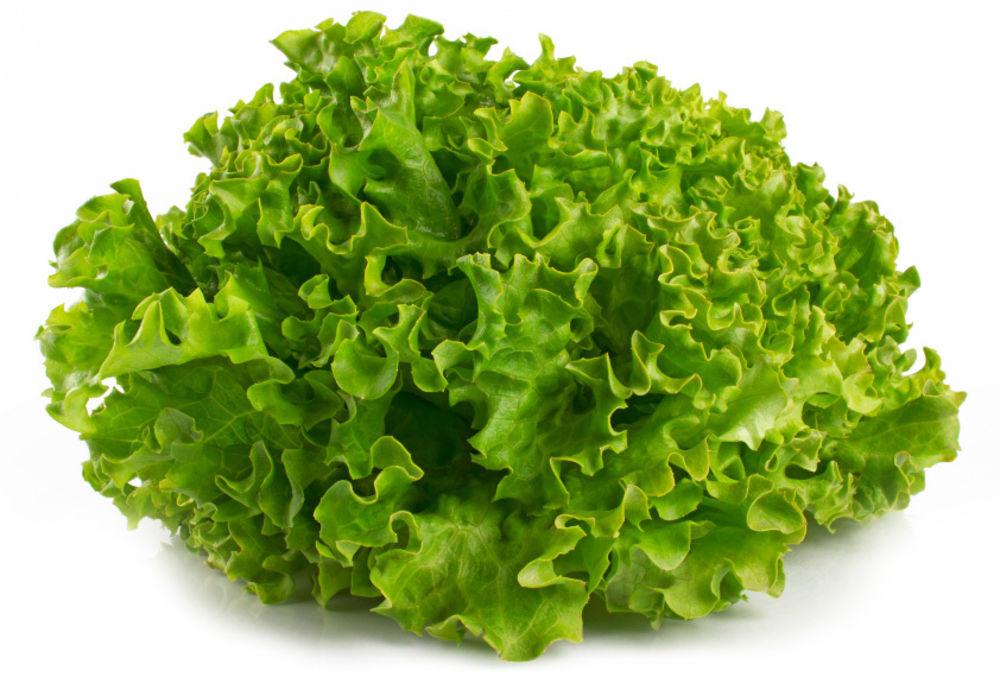Lollosalat Grønn Spania/ Italia, 400 g