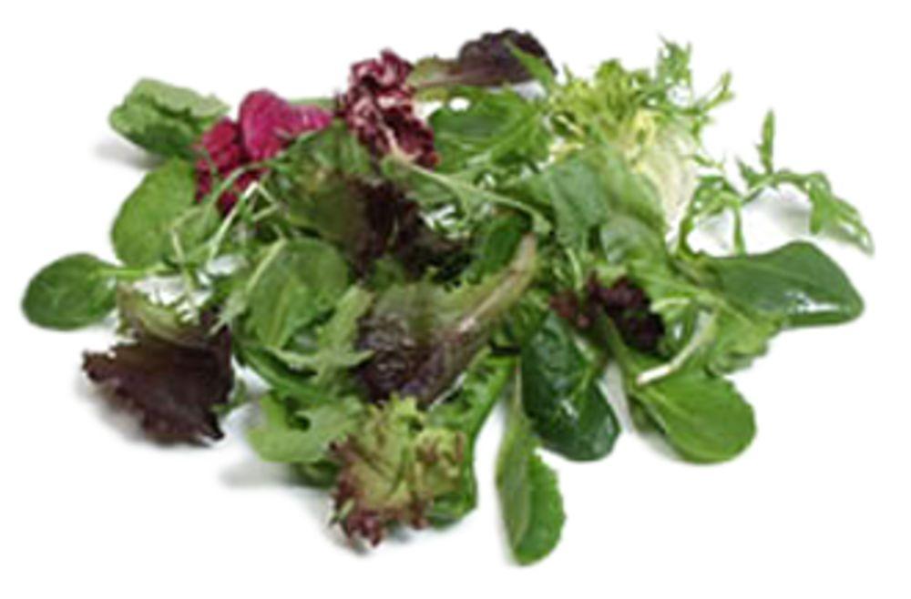 Babyleaf Mix Spania/ Italia, 100 g