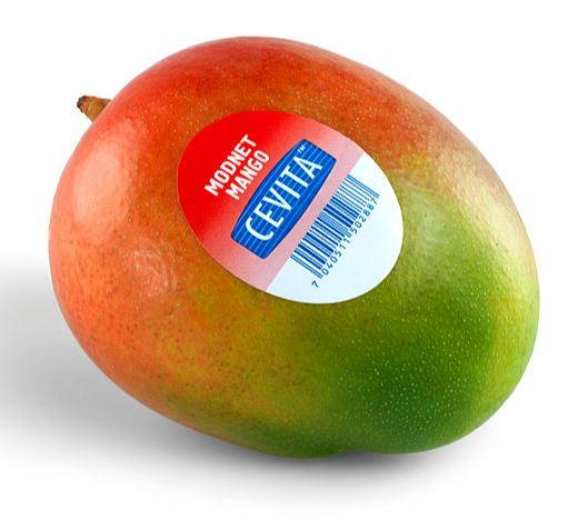 Mango Cevita