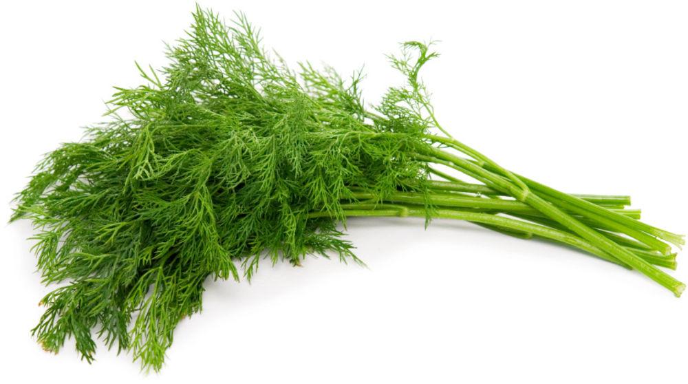 Dill Gourmet Frisk i Pose, Etiopia, 20 g