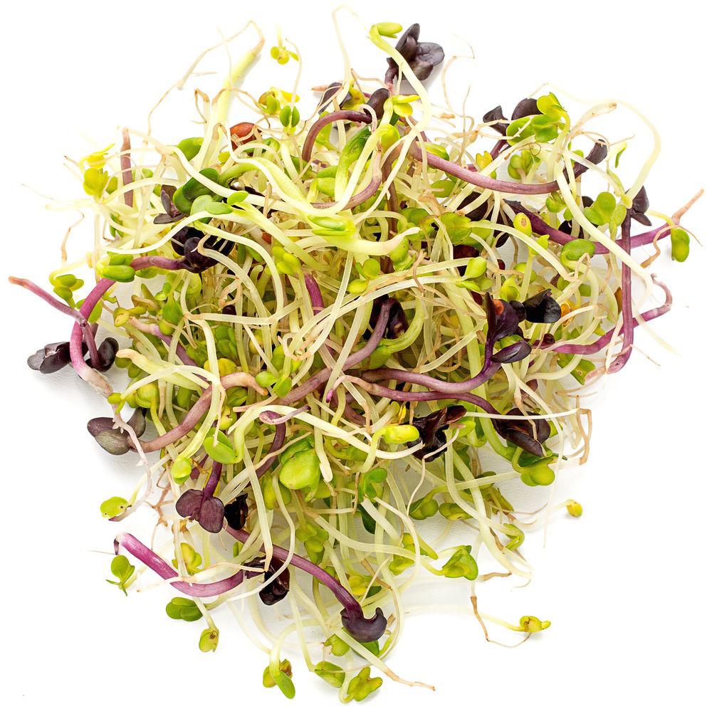 Taco spiremix -Brokolli, Kløver, Mungbønner Norge, 50 g