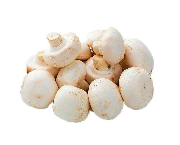 Champignon Bama